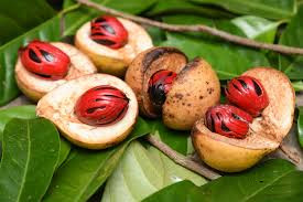 Nutmeg 1KG
