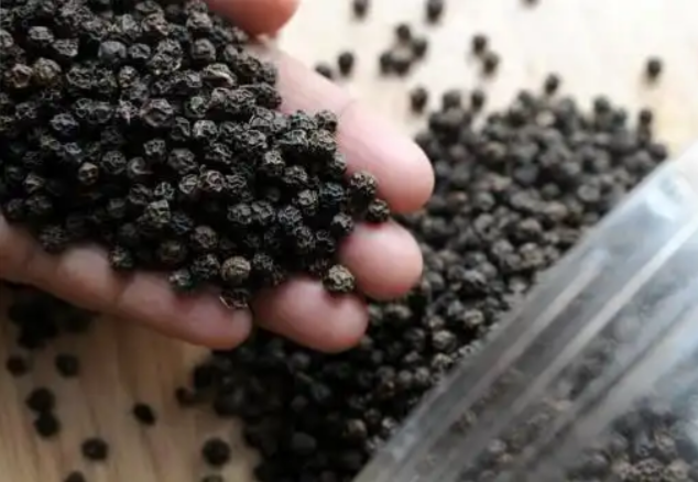 Black Pepper 1KG