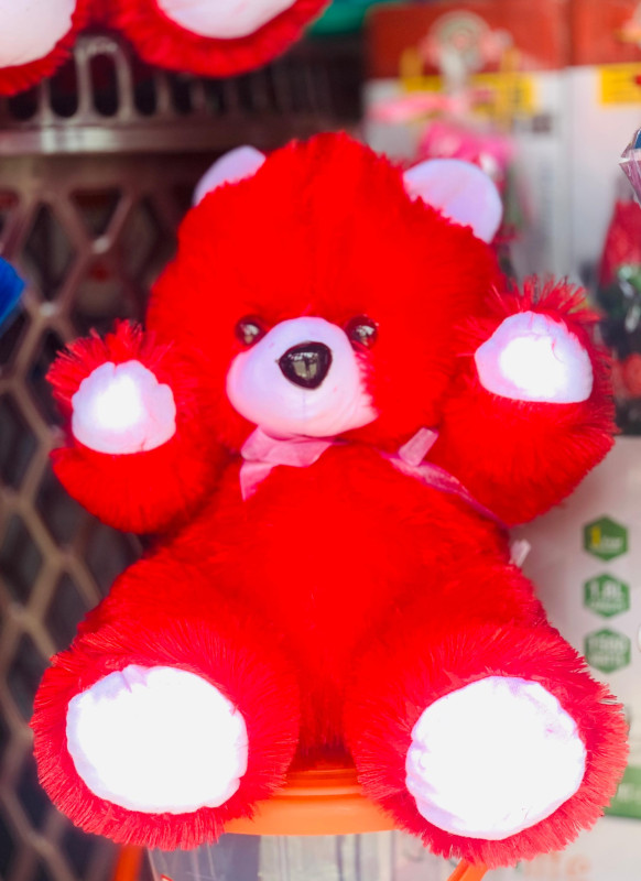 Red Teddy Bear Medium